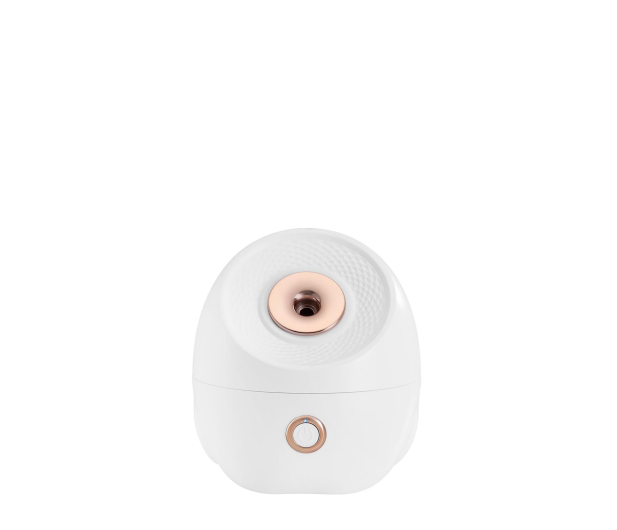 Beautifly Sauna do twarzy SkinMist Pro, Nano-jonowa - 1597965 - zdjęcie 2